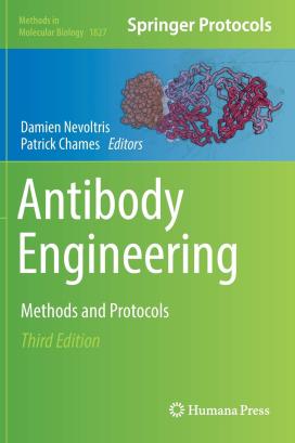 Antibody eng