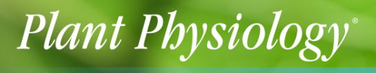 Physiol. Plant. 