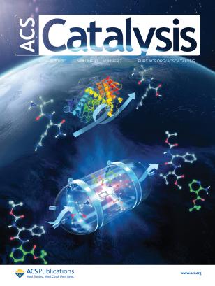 Hollanders - ACS Catal 2020 - Cover.jpg